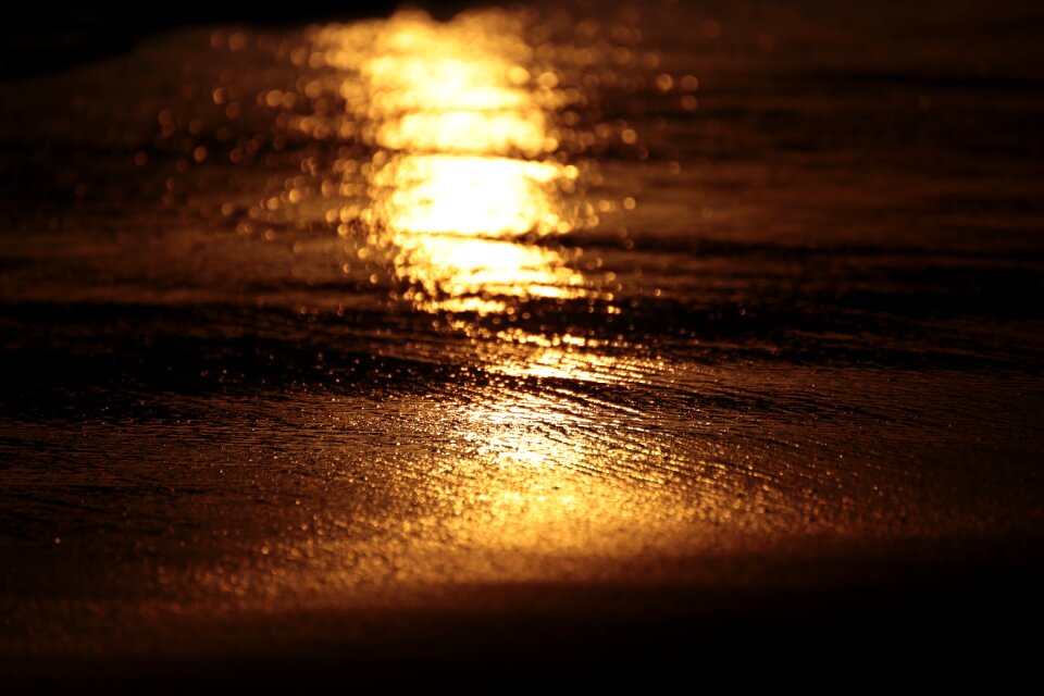 Golden orange dawn