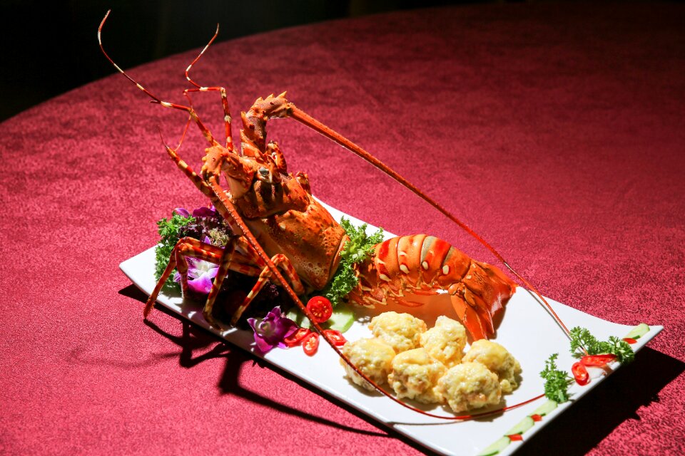 The dish seafood Free photos