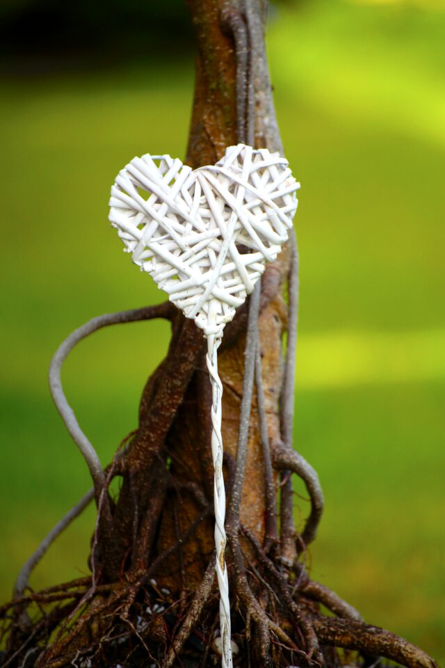 Romantic valentine romance