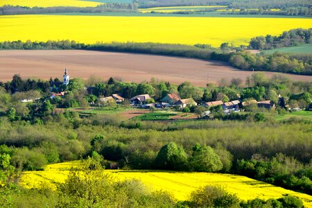 Green church village photo