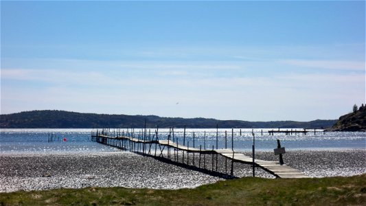 A wooden jetty over the mudflats at Gullmarsvik, Lysekil, Sweden. The mudflat is covered with lugworm (Arenicola marina) casts.