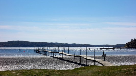 A wooden jetty over the mudflats at Gullmarsvik, Lysekil, Sweden. The mudflat is covered with lugworm (Arenicola marina) casts. photo