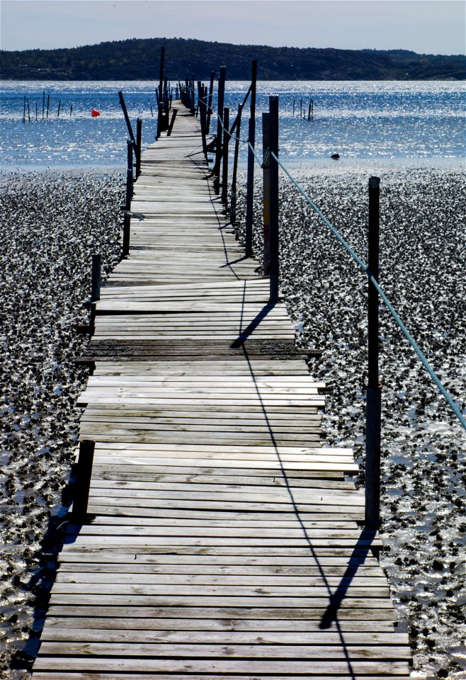 A wooden jetty over the mudflats at Gullmarsvik, Lysekil, Sweden. The mudflat is covered with lugworm (Arenicola marina) casts.