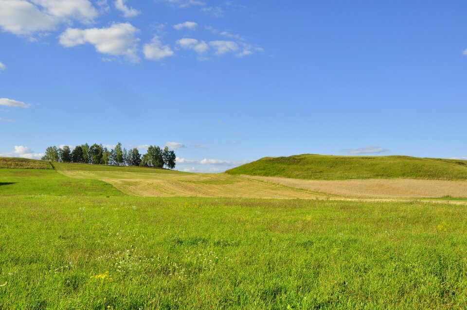 Scenery meadows summer