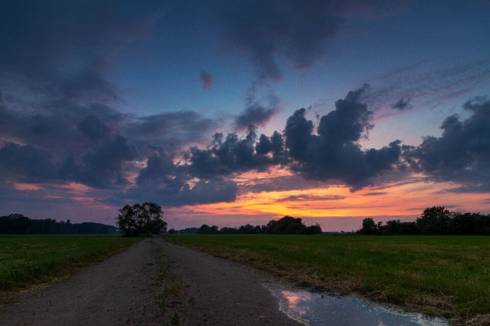 Abendstimmung afterglow trees photo