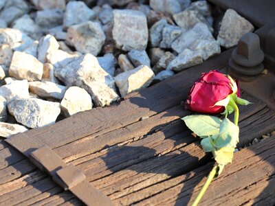 Lost love touching loving memory