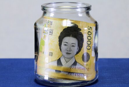 Financial cash investment