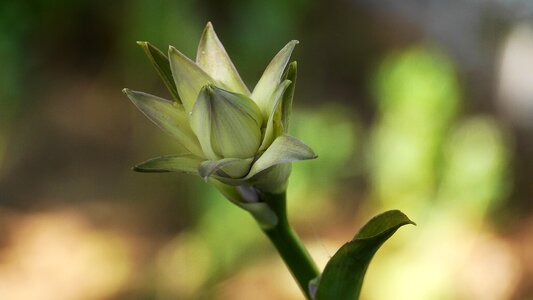 Summer wild beautiful