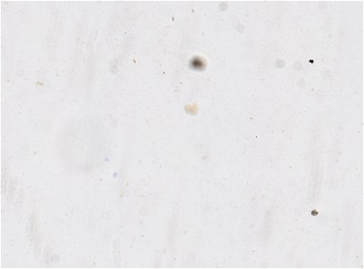 PRESERVED_SPECIMEN; ; LARVA; microslide; ; IZ number 95157; lot count 1; Microslide 01, glycerin, whole mount; larva; other number N-14:III-1;