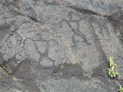 Petroglyphs at Hawaii Volcanoes National Park photo