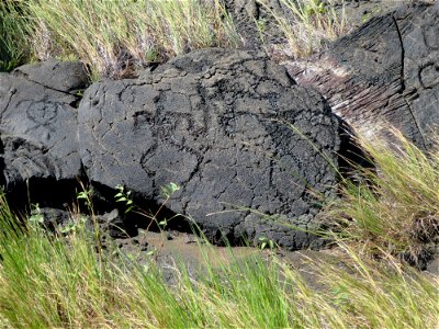 Puʻu Loa petroglyphs photo