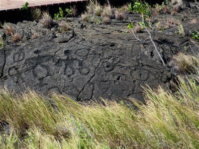 Puʻu Loa petroglyphs photo