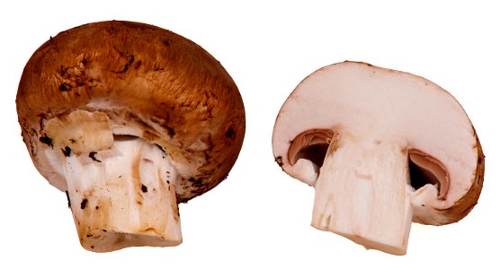 Baby Portobella mushrooms.
