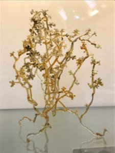 model of Botrytis cinerealabel QS:Len,"model of Botrytis cinerea"