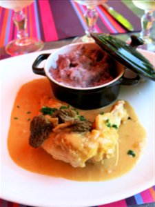 Chicken with morchellas in the restaurant le pont de Thorey in Saint-Germain-du-Plain (Saône-et-Loire, France). photo