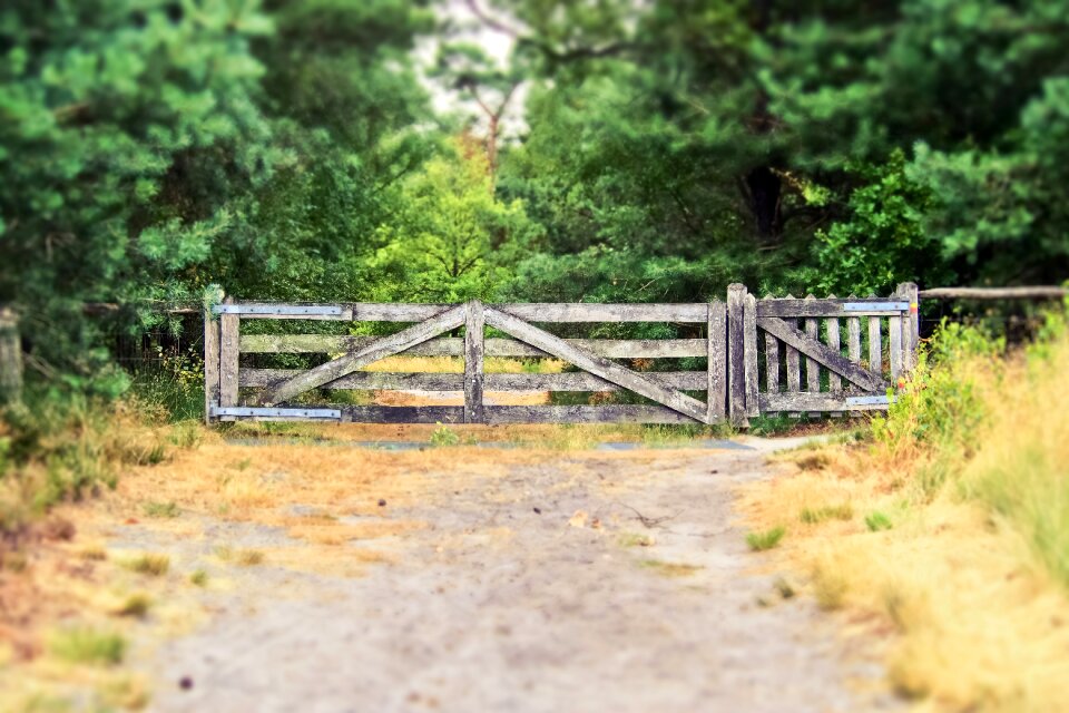 Old pasture access