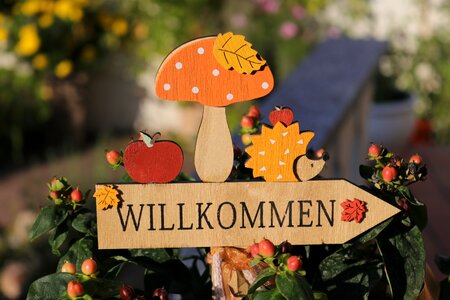 Autumn decoration thanksgiving autumn motives
