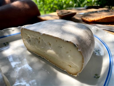 a Brick sized Camembert cut in half, right half