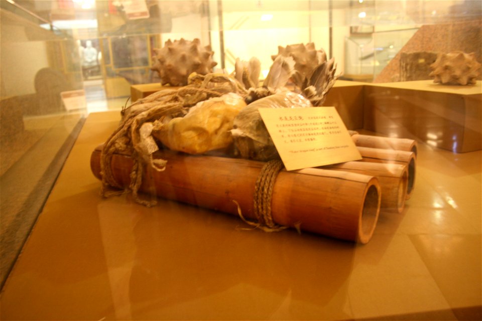 Military Museum: Ancient Weapons. Complete indexed photo collection at WorldHistoryPics.com.