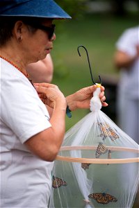 Teresa Lim, left, volunteer with Monarch Teacher Network, gives remarks to nearly 30 attendees of a butterfly release in Arlington National Cemetery, Aug. 9, 2016, in Arlington, Va. The cemetery plant