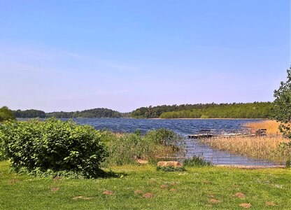 Northern germany reeds lakeside