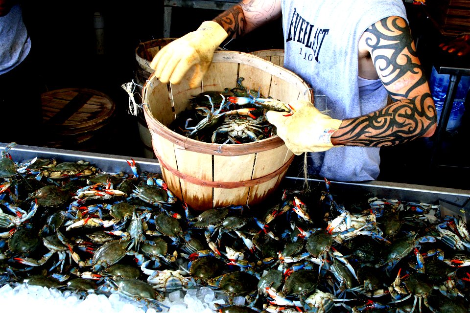 Crabs at the Wharf's seafood market - Jeff Costlow 2005
