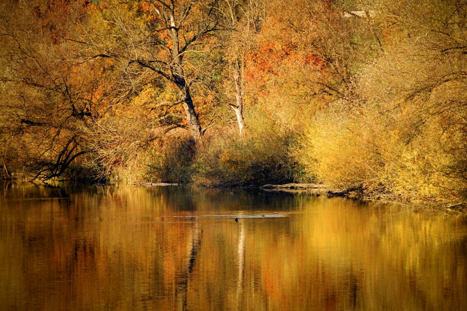 Autumn fall color lighting
