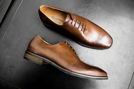 Shoes men shoe shine monstrap