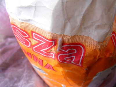 Mól spożywczy  - poczwarka na torebce kaszy manny.