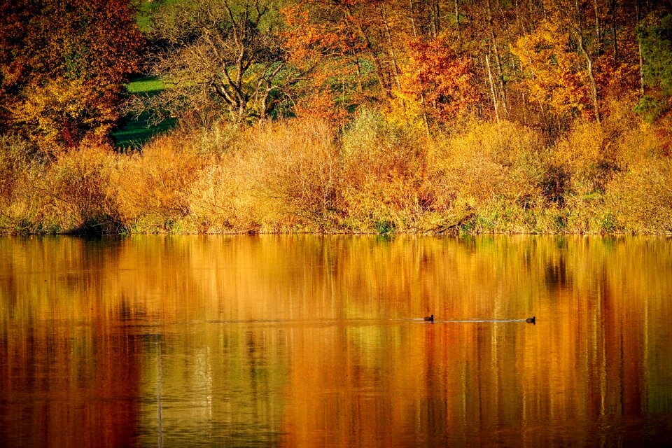 Autumn fall color lighting