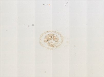 PRESERVED_SPECIMEN; ; ; microslide; ; IZ number 98926; lot count 1; Microslide 01, balsam, alimentary canal, serial section;