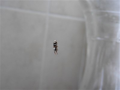 Just hangin'