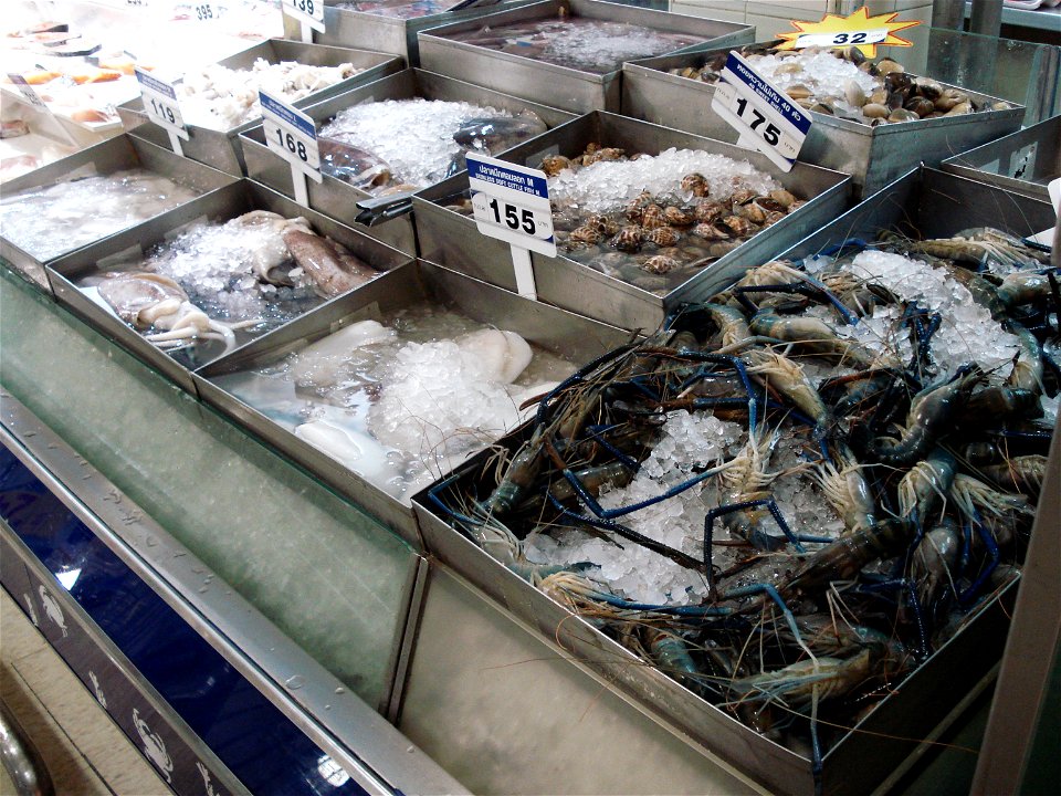 fish, packed in ice, supermarket Tesco-Lotus, Udonthani, Thailand