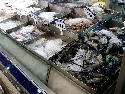 fish, packed in ice, supermarket Tesco-Lotus, Udonthani, Thailand
