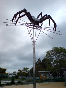 The Avondale spider, a local icon of the Avondale suburb in Auckland City, New Zealand. The spider is a local variety of large (but harmless to humans) huntsman spider which is rarely found anywhere e photo