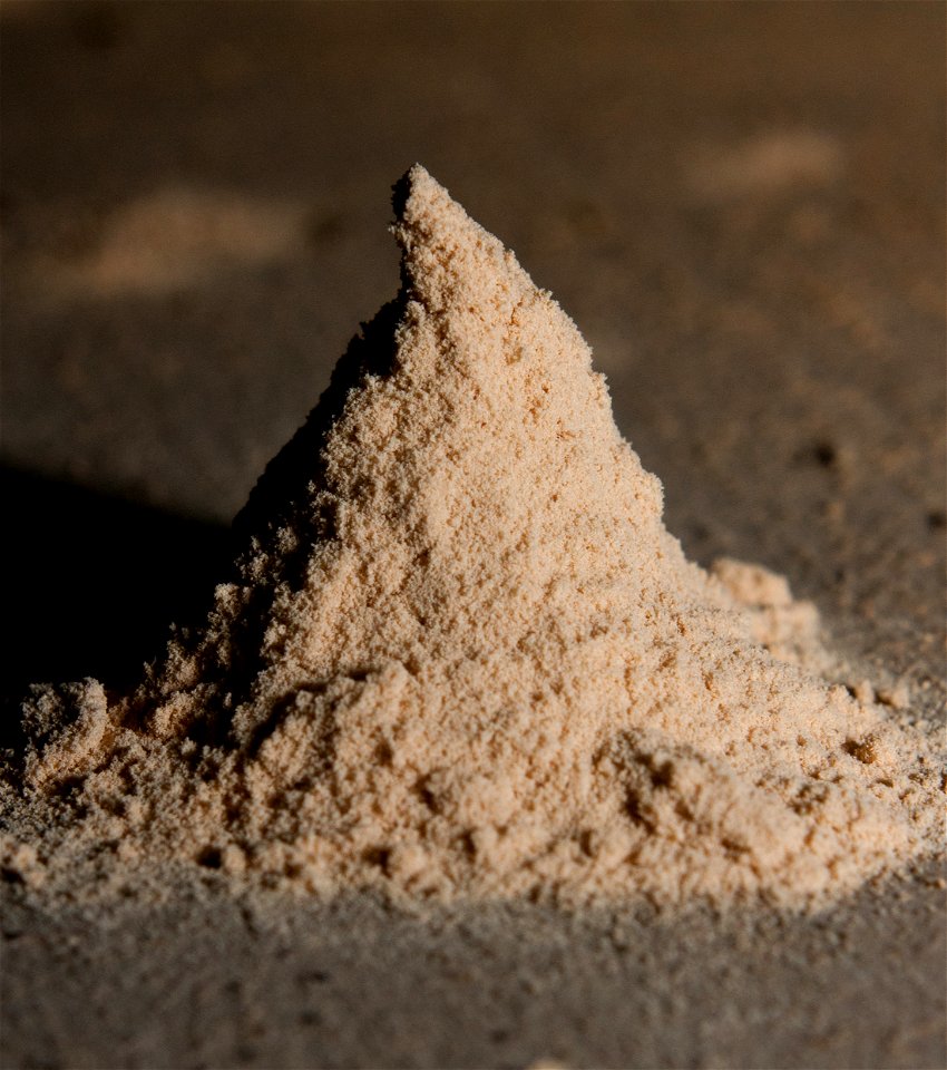 A pile of wood dust made by larvae of Anobium punctatum about 5cm in height.