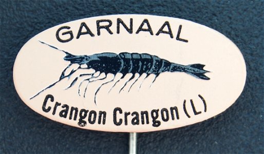 Photograph of an advertising pin in the Netherlands.
