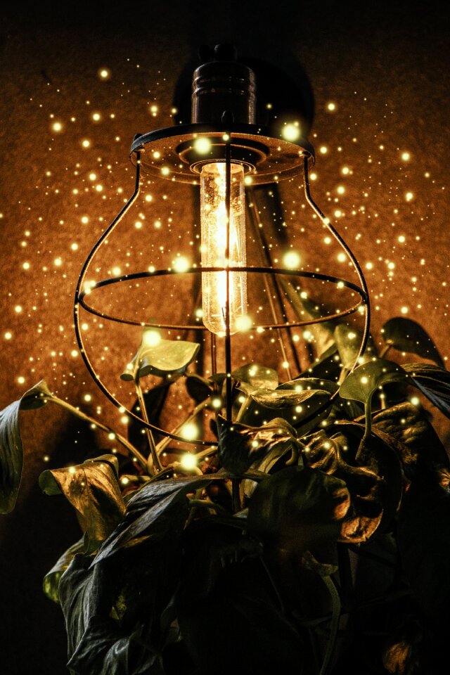 Light decoration design