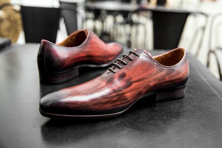 Shoes men shoe shine monstrap