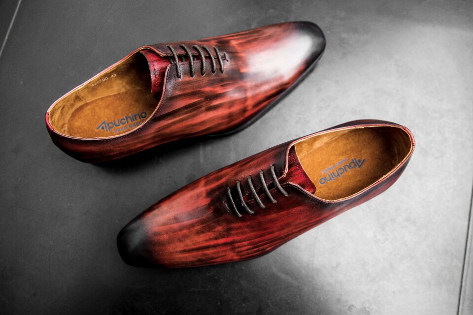 Shoes men shoe shine monstrap
