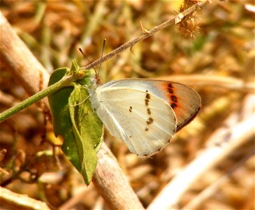 Shot at Hampi, Karnataka, India photo