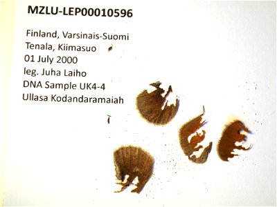 Finland. Varsinais-Suomi, Ab:Tenala, Kiiimasuo.
