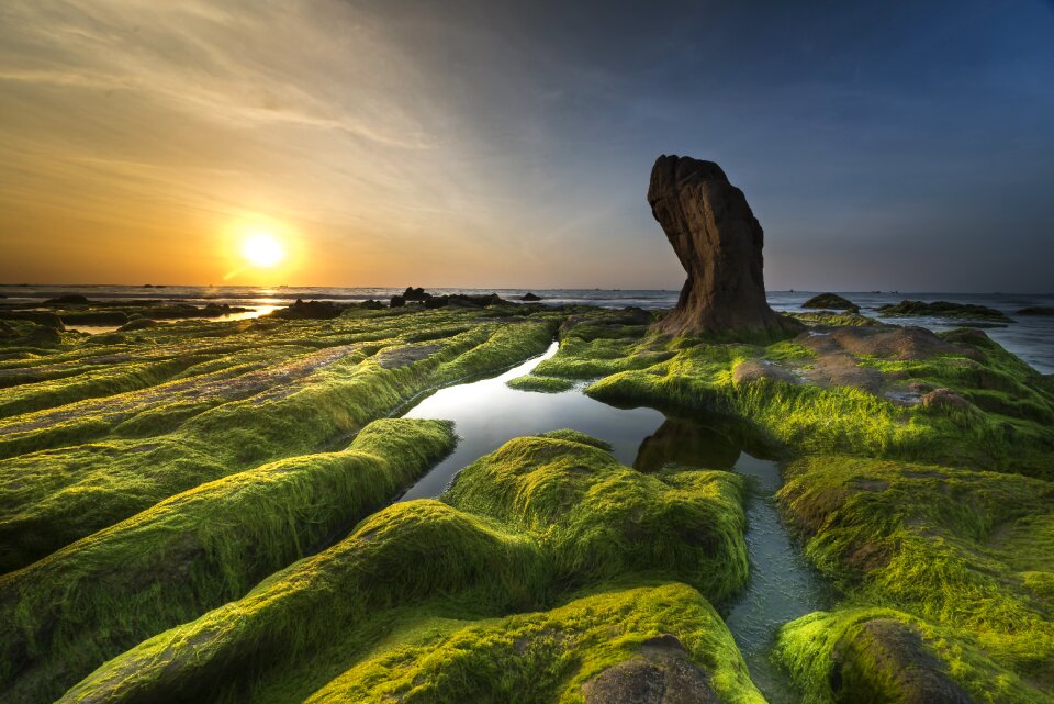 Beach shore background
