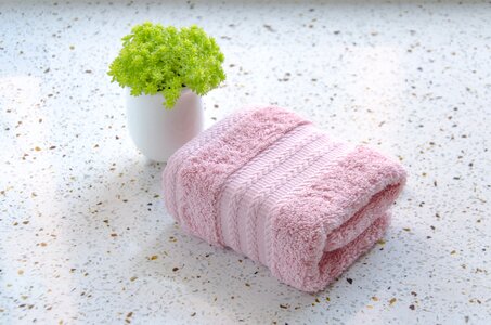 Towel green plants mesa