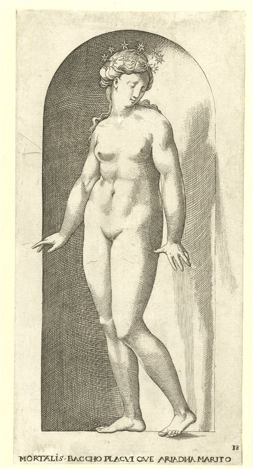 IdentificatieTitel(s): Ariadne met kroon van sterrenGoden en Godinnen (serietitel)Objecttype: prent Serienummer: 18/20Objectnummer: RP-P-1951-178RCatalogusreferentie: Bartsch 43-aprèsOpmerking: kopie 