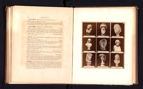 IdentificatieTitel(s): Negen afgietsels van antieke bustes waaronder Isis, Apollo, Ariadne en de Juno LudovisiObjecttype: foto bladzijde Objectnummer: RP-F-2001-7-1074-10Opschriften / Merken: opschrif