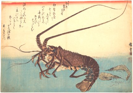 魚づくし　伊勢海老　芝蝦