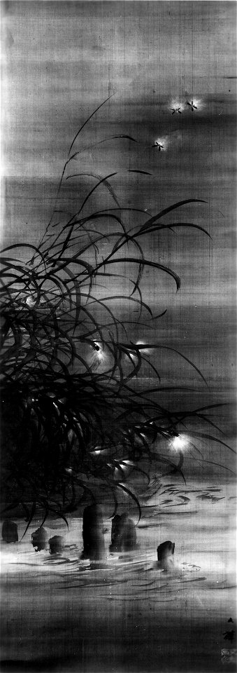 Fireflies Among Reeds