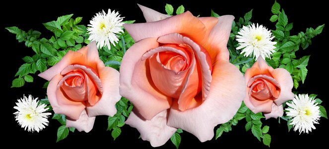Arrangement garden nature