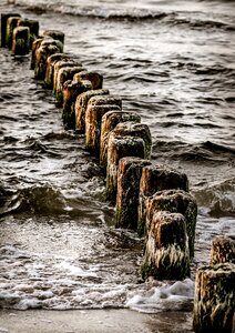 Beach the coast sea shore photo